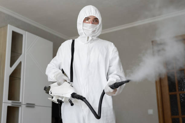 Why You Should Choose Our Mold Remediation Services in Wyldwood, TX